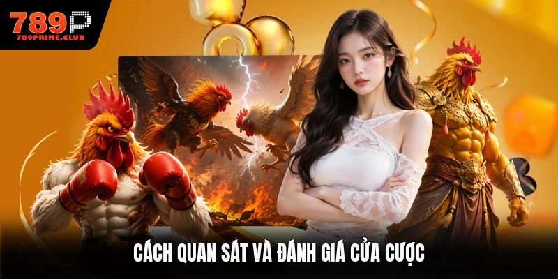 Cách quan sát và đánh giá cửa cược