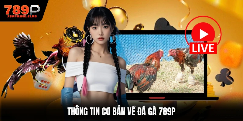 Thông tin cơ bản về đá gà 789P